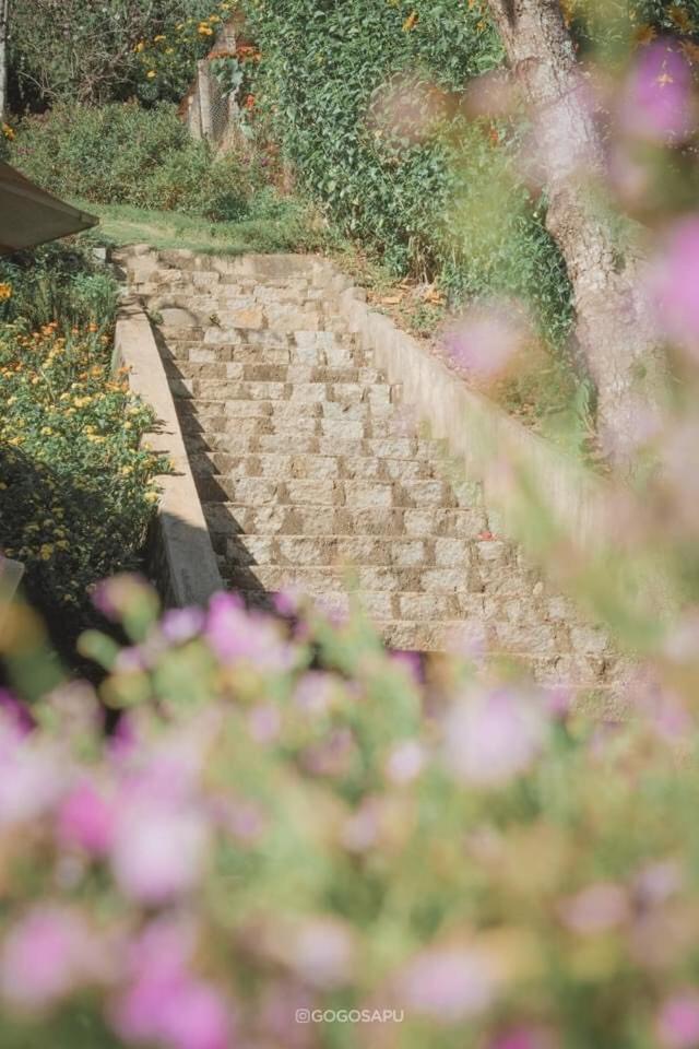 Villa Biet Thu Trang Da Lat Esterno foto