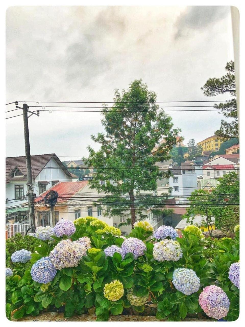 Villa Biet Thu Trang Da Lat Esterno foto